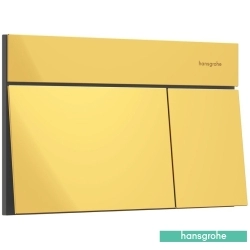 Hansgrohe - Hansgrohe iFrame Element E Kumanda Paneli, Parlak Altın