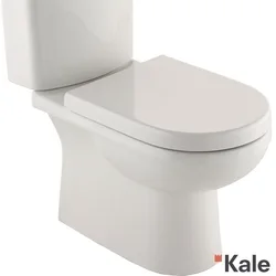 Kale - Kale Idea Klozet