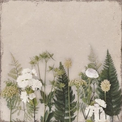 Vitra - Vitra 33x33 Siyah Swan Mix Dekor 1 Mat - K94500500001VTE0